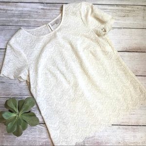 LOFT lace top - excellent condition